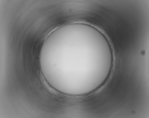 X0000113630897200909181302
