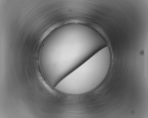 X0000113630898200909181302