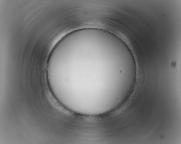 X0000113630899200909181302