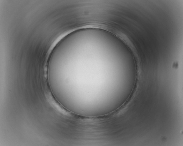X0000113630900200909181302