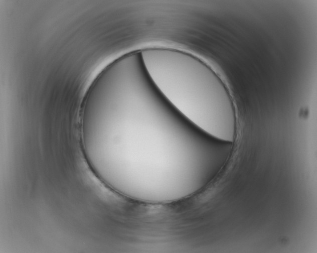 X0000113630903200909181302