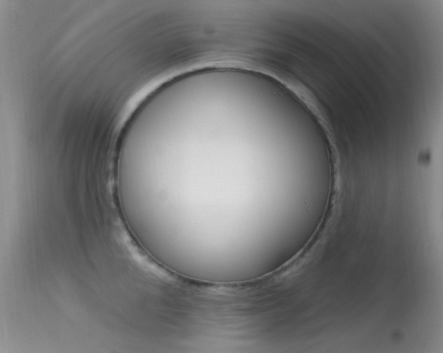 X0000113630904200909181302