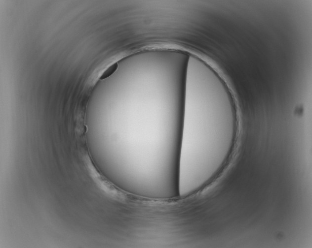 X0000113630905200909181302