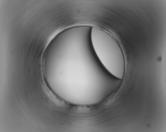 X0000113630907200909181302