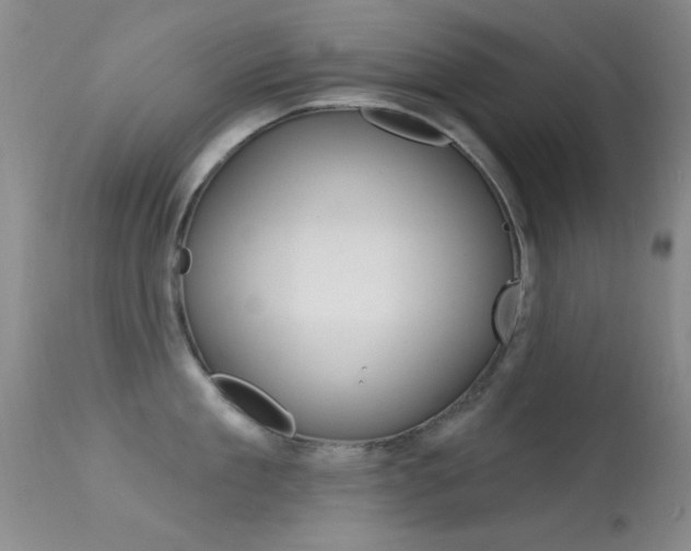 X0000113630909200909181302