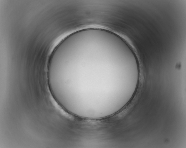X0000113630910200909181302