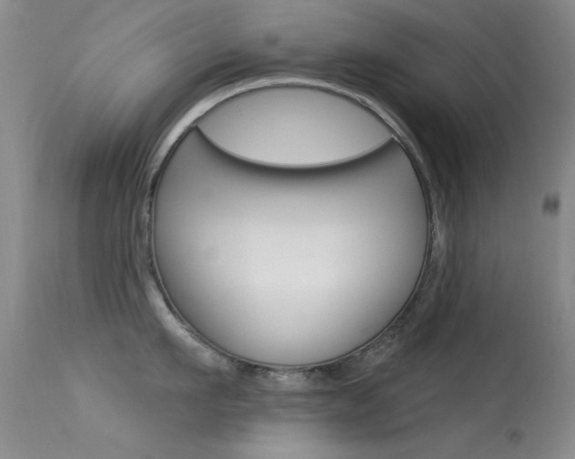 X0000113630911200909181302