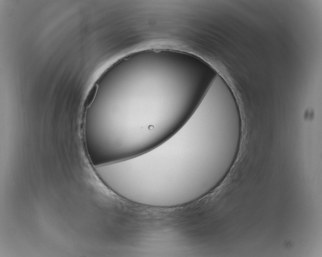 X0000113630912200909181302