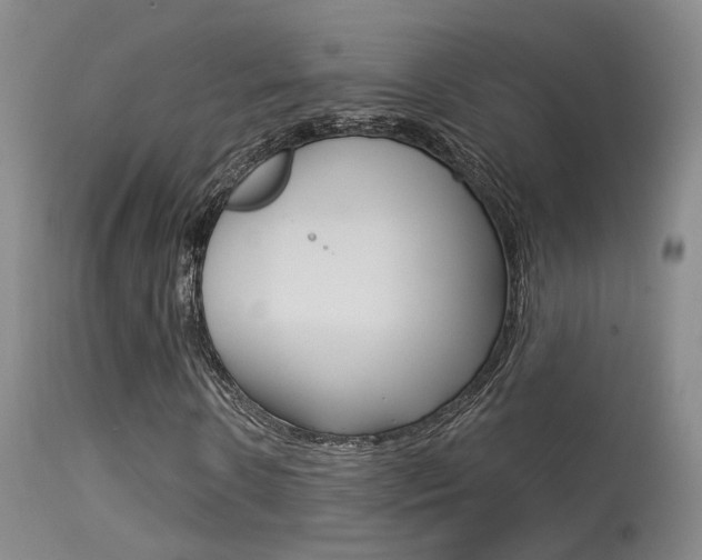X0000113630914200909181301