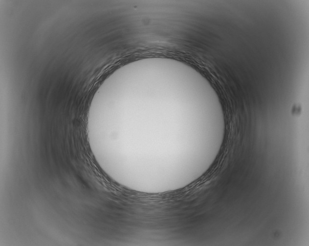 X0000113630916200909181301