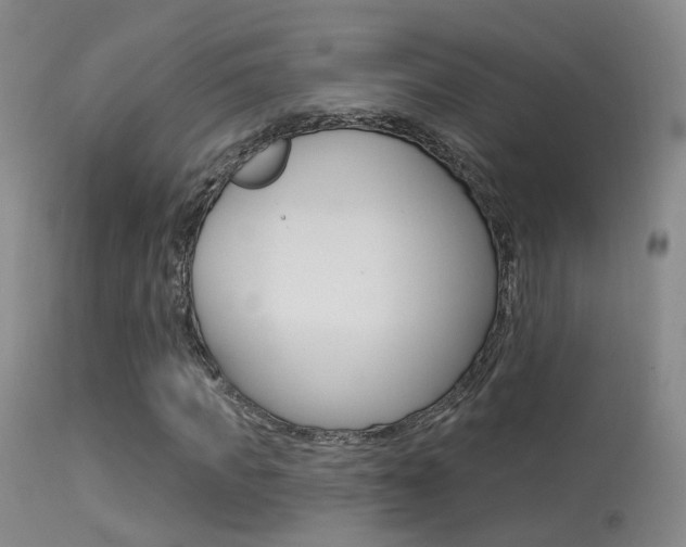 X0000113630917200909181301