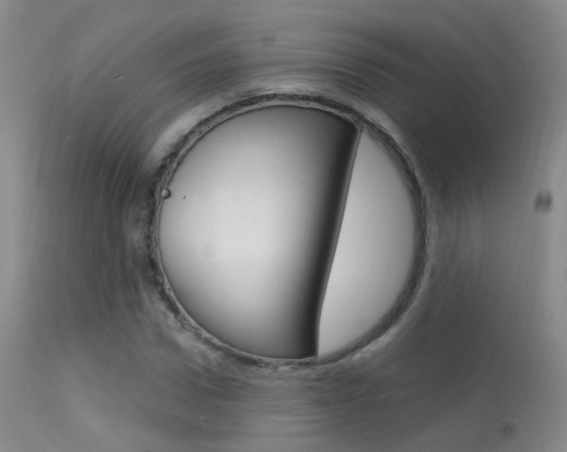 X0000113630922200909181301