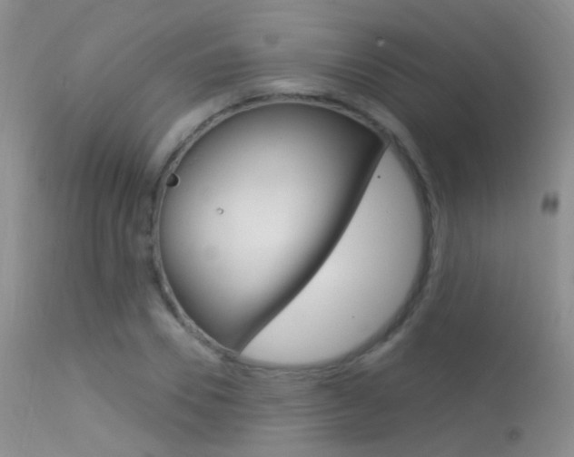 X0000113630930200909181301