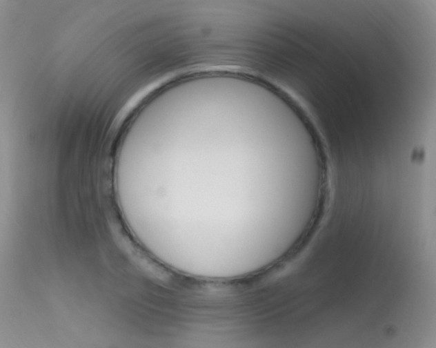 X0000113630933200909181301