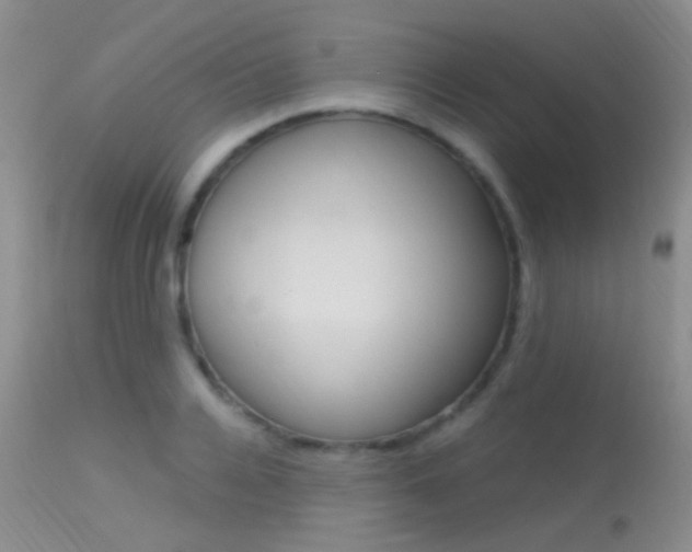 X0000113630936200909181301