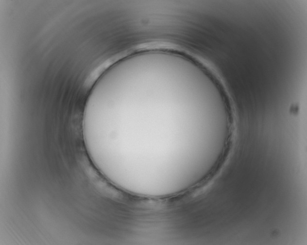 X0000113630937200909181301