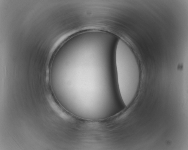 X0000113630940200909181301