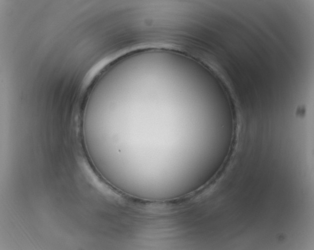 X0000113630944200909181301