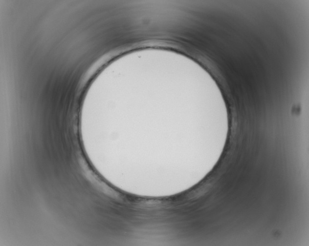 X0000113630950200909181301