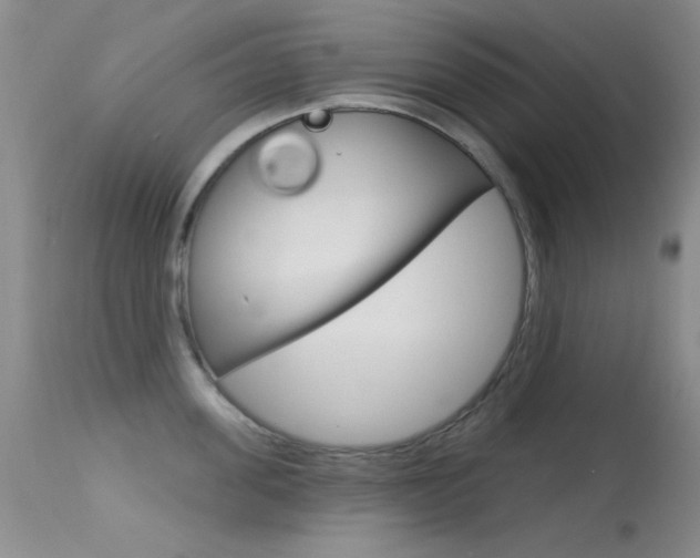 X0000113630955200909181302
