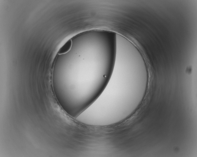 X0000113630956200909181302