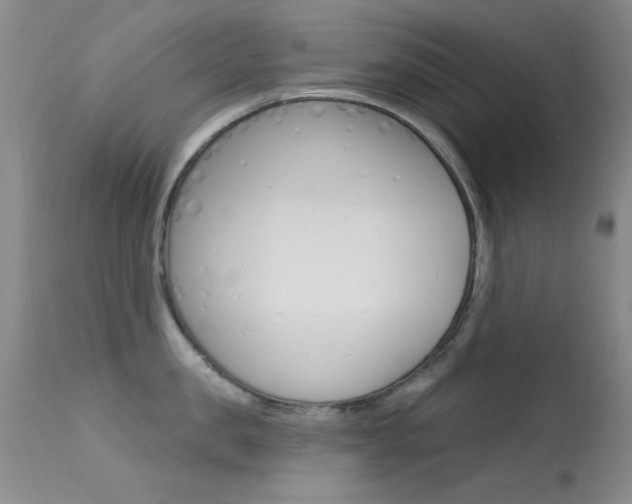 X0000113630957200909181302