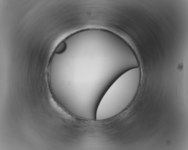 X0000113630958200909181302