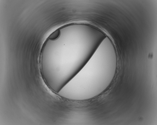 X0000113630959200909181302