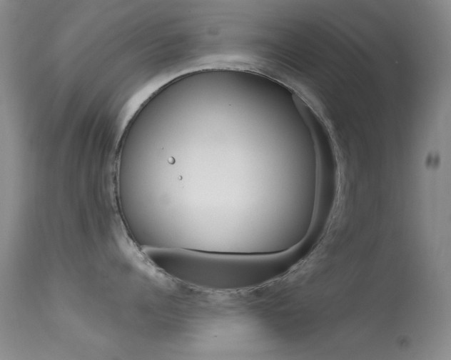 X0000113630960200909181302