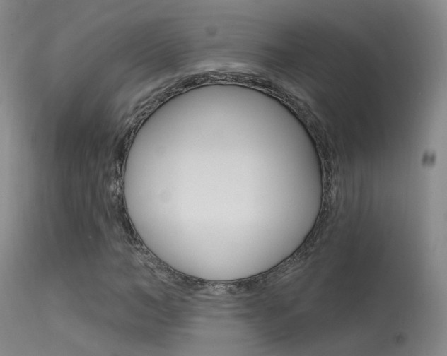 X0000113630966200909181301