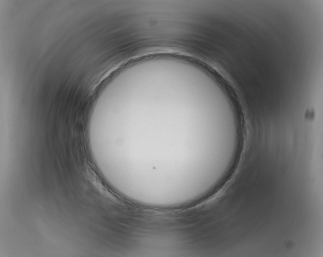 X0000113630969200909181301
