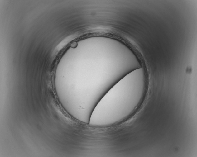 X0000113630970200909181301