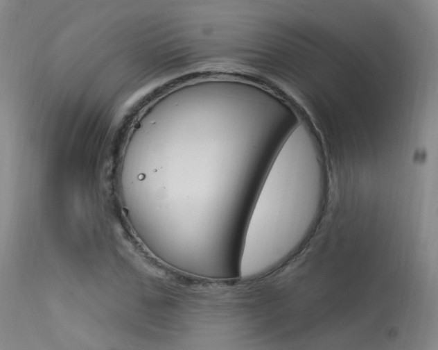 X0000113630971200909181301