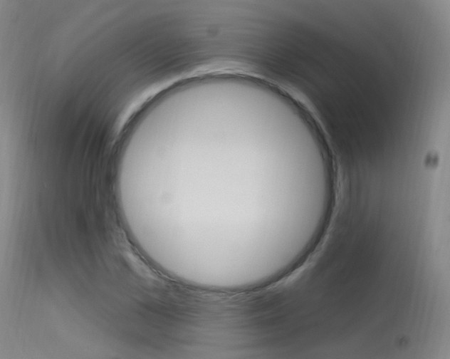X0000113630973200909181301