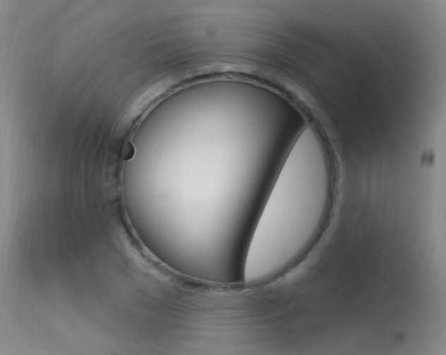X0000113630977200909181301