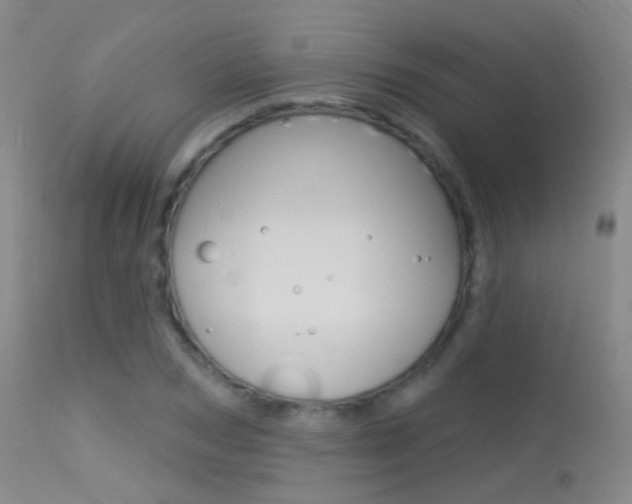 X0000113630978200909181301