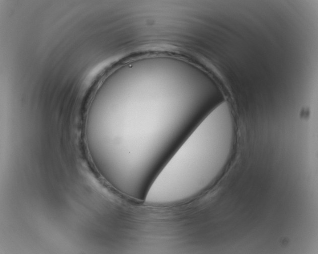 X0000113630979200909181300