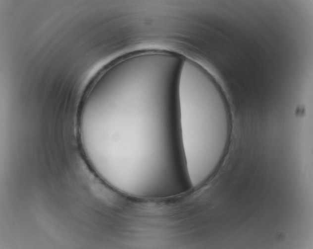X0000113630980200909181300