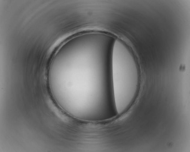 X0000113630981200909181300