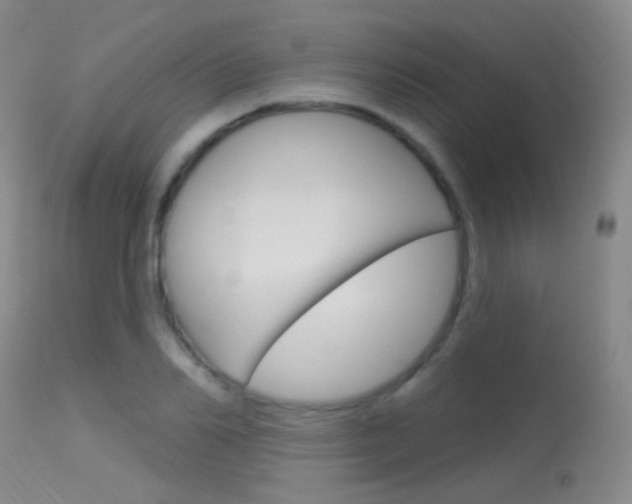 X0000113630982200909181300