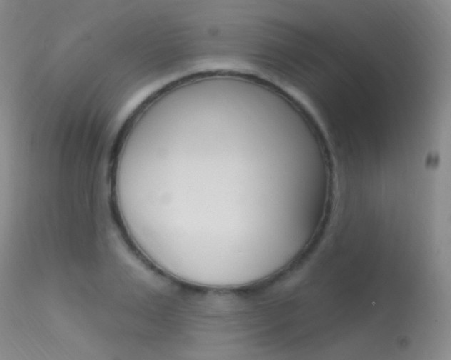 X0000113630983200909181300