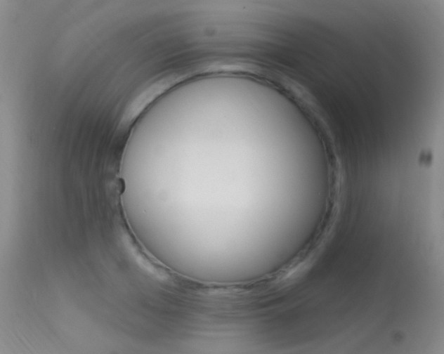 X0000113630985200909181300