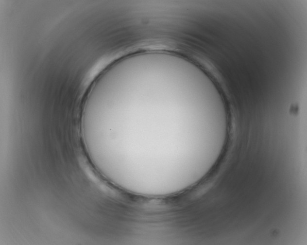 X0000113630986200909181300