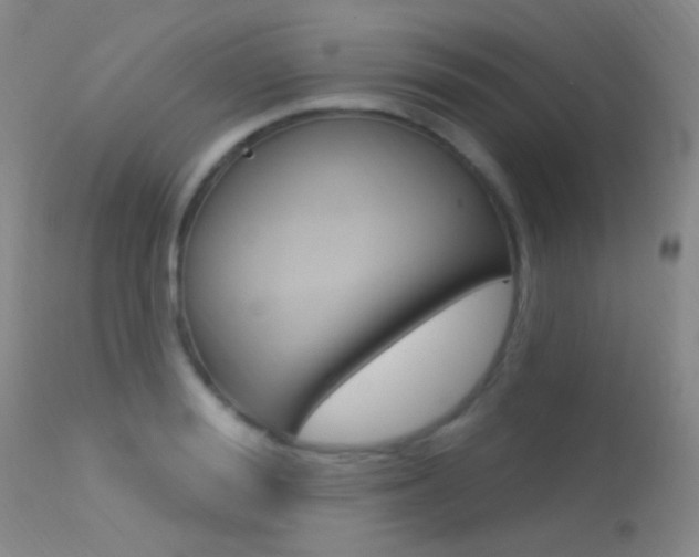 X0000113630988200909181300