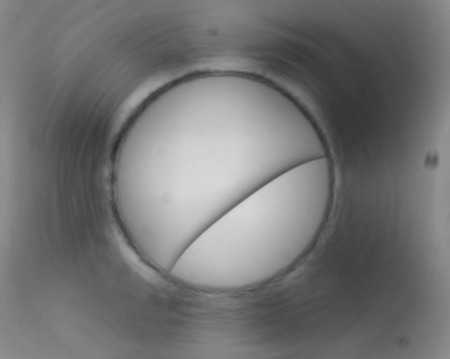 X0000113630990200909181300