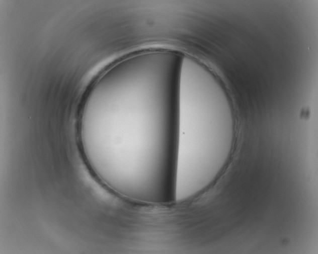 X0000113630991200909181300