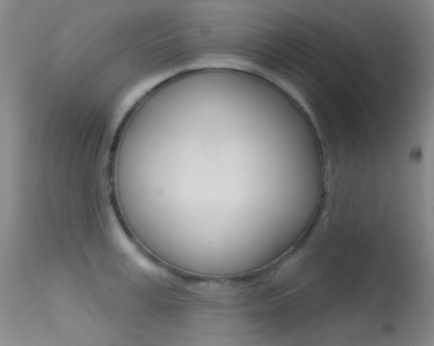 X0000113630995200909181300