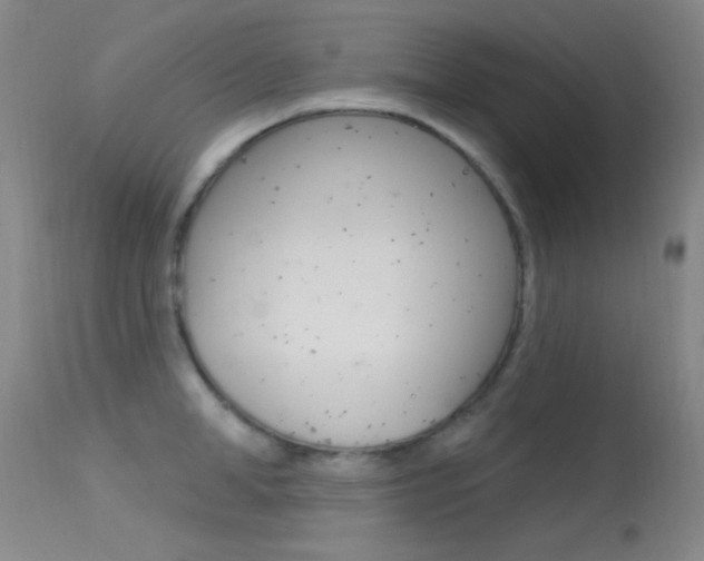 X0000113630998200909181300