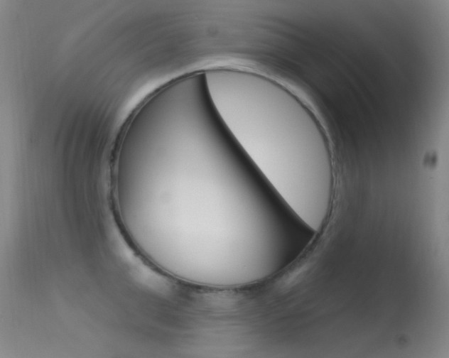 X0000113630999200909181300
