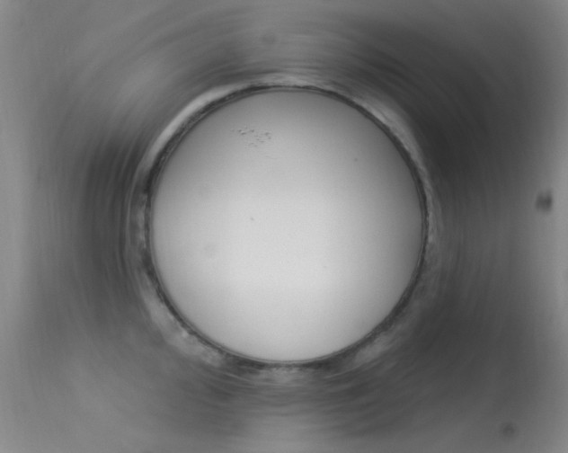 X0000113631000200909181300